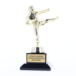 Karate Action Fig Male 160mm
